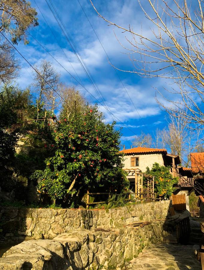 Quinta Das Bollotas Villa Fafe Exterior photo